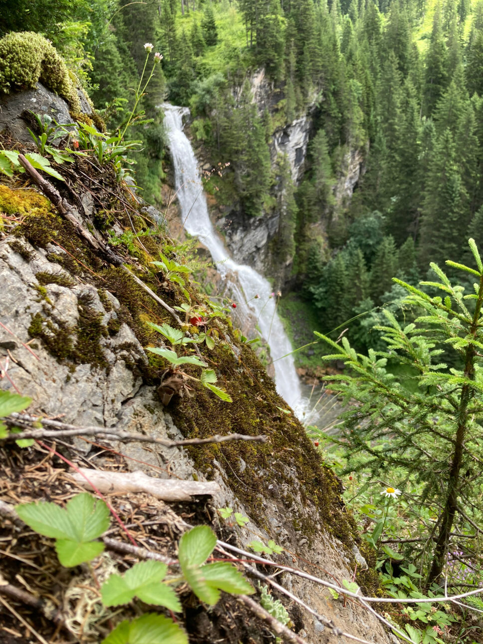 Erbeere und Wasserfall