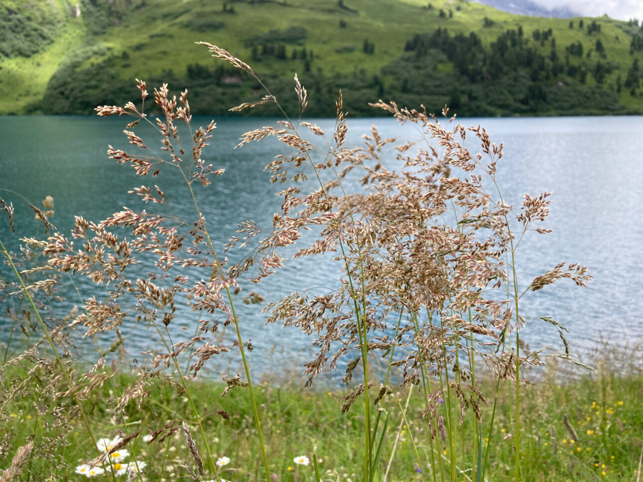 Engstlensee