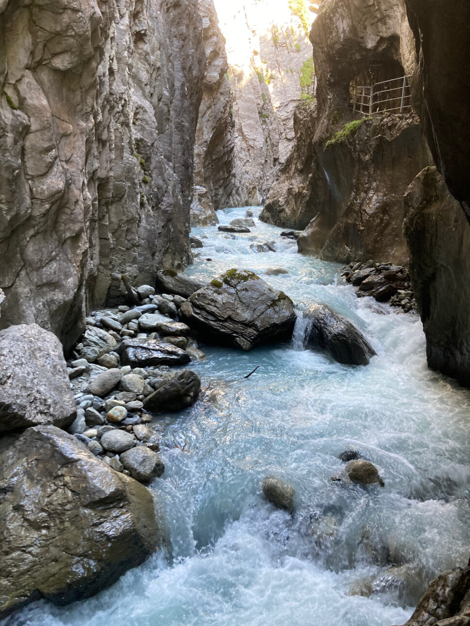Auf dem Rückweg gingen wir in die Rosenlauischlucht.