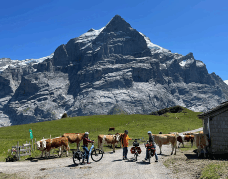 Blick aufs Wetterhorn