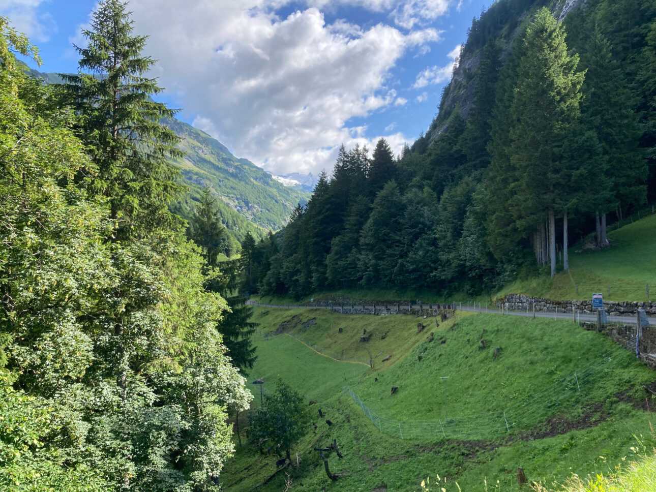 Weg zum Engstlensee